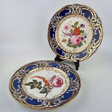Antique Pair 19th Century Cabinet Plates Painted With Flowers 25.7cm