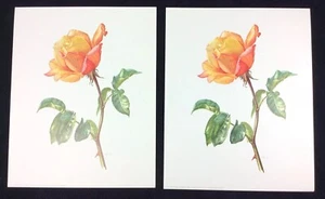 Vintage (2) 1961 Pink-Yellow Rose Print 1971 Kronen-Verlag Lithographie Druck Kunst - Bild 1 von 3