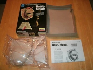 1982 Lindberg Nose Mouth life size anatomically accurate #1339 model kit - Picture 1 of 9