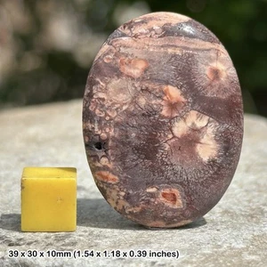 Fish Eye Jasper Palm Stone Worry Stone Crystal Healing - Genuine Specimen with - Picture 1 of 1
