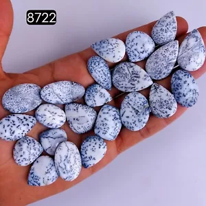 22Pc 317Cts Natural Dendrite Agate cabochon Gemstone Lot 30x17 19x16mm #R-8722 - Picture 1 of 4