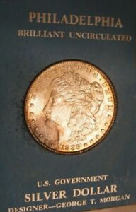1886 Morgan Silver Dollar - BU, Gold Peripheral Toning, US Govt Holder 4297