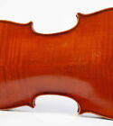 old fine violin Pedrazzini 1932 violon alte geige viola cello italian 4/4 viool