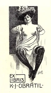 Karel Simunek: Exlibris / Weibl. Halbakt, Schleierhut, Strümpfe, Strumpfbänder - Bild 1 von 1