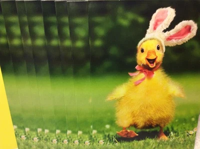 TARJETAS DE FELICITACIÓN AVANTI PASCUA NUEVAS CON SOBRE LOTE 8 "PASCUA" *MEJOR OFERTA* Foto 1 de 2