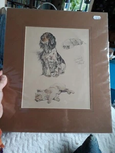 Spaniel,Pekinese,Cheow. ORIGINAL OLD 1936 MOUNTED DOG ART PRINT by LUCY DAWSON - Picture 1 of 8