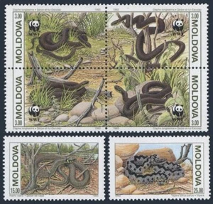 Moldova 72 ad block,73-74,MNH.Michel 50-55. Snakes.WWF 1993. - Picture 1 of 1