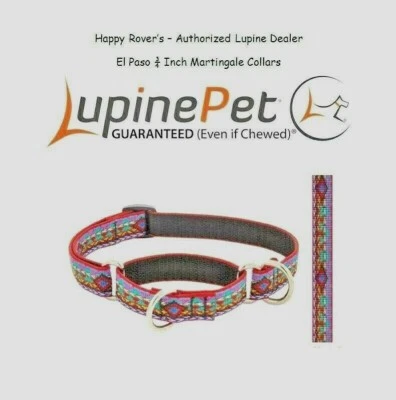 Lupine Lifetime Training Martingale Dog Collar 3/4" Saddleblanket Print EL PASO