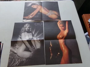 3 Playboy Gallery Pull-Outs Carrie Leigh, Shannon Tweed, Vanity - Picture 1 of 3