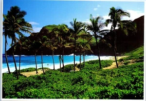 Cartolina Makapu'u Beach sulla costa orientale di O'ahu, Isole Hawaii - Foto 1 di 2