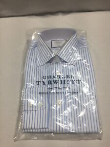 C222 CHARLES TYRWHITT Non-Iron Twill Blue Stripe Dress Shirt Size 15 1/2-34
