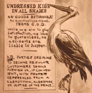 Stork & Co Esmond ND c1910 Postcard Anthropomorphic Humor Baby Delivery Joke - Picture 1 of 4