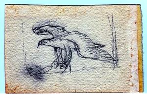 Tunnicliffe: Pencil sketches of raptors - Picture 1 of 5