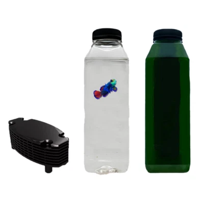 COPEPODS FOR SALE 16oz 5 Species Pods + 16oz Phyto | Free Shipping & Pod Hotel Included!