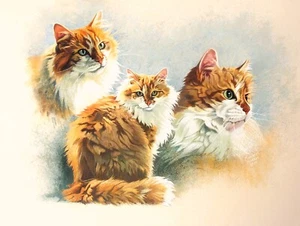 Margaret Hawkes (siglo XX) pintura gouache diseño de tarjeta de felicitación de gato atigrado. - Imagen 1 de 6