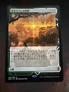 Windswept Heath Expedition Japanese Zendikar Rising MTG Magic The Gathering - Picture 1 of 2