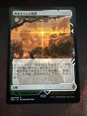 Windswept Heath Expedition Japanese Zendikar Rising MTG Magic The Gathering - Image 1 of 2
