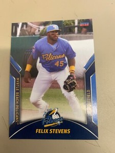 Felix Stevens 2022 Myrtle Beach Pelicans Team Card
