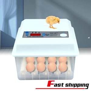 16 Eggs Incubator Automatic Digital Turner Hatcher Chicken Temperature Control - Picture 1 of 15