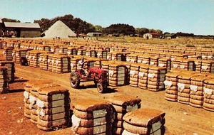Bales of Cotton Chrome PC, Mississippi(?) - Picture 1 of 2