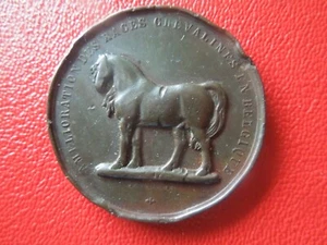 MEDALLA LUXEMBURGO J 7019 1876 CABALLO DE CARRERAS VER DESCRIPCIÓN - Imagen 1 de 10