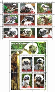 Stamp sheet+block Cottontop Tamarin 2020 Korea issue Monkeys - Picture 1 of 1