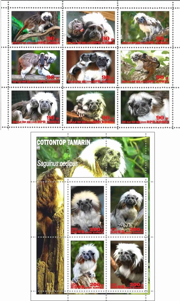 Stamp sheet+block Cottontop Tamarin 2020 Korea issue Monkeys - Image 1 of 1