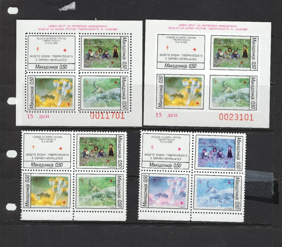 LOTE DE 2 RECUERDOS MÁS SELLOS YUGOSLAVIA MACADONIA 1995 CRUZ ROJA MNH PERF IMPERF B2 Foto 1 de 1