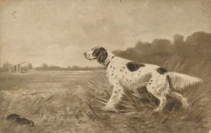 Motiv - Karte von einem Hunden Ansichtskarte (10363) - Imagen 1 de 2