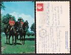 1966. Canada R.C.M.P. Postcard - Police Officer on Horses
