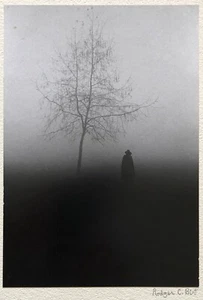 Rodger C. Birt Hyde Park, London Nov 1970 handsignierter Gelatine Silberdruck - Bild 1 von 3