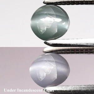 💎 0.39ct Round Cabochon Natural Green Cat's Eye Alexandrite - Sri-Lanka Gem - Picture 1 of 6