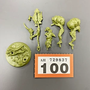 DRIPTERUS GRANDFATHER'S GARDENERS PLAGUEBEARER ICON BEARER UNDERWORLDS NURGLE - Picture 1 of 1