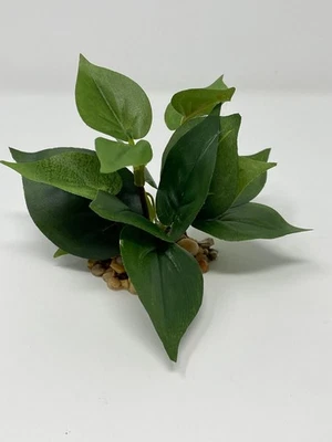 Arbusto POTHOS todo verde XS (2 tallos), planta Pothos de seda muy suave, base de piedra, Foto 1 de 4