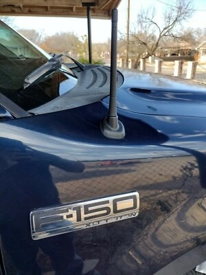 Mástil de antena negro corto de 7" radio AM/FM para Ford F-150 F150 1980-2008 nuevo Foto 1 de 4