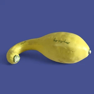 Mary Kirk Kelly (Alabama, 1918-2013) Squash - Picture 1 of 6