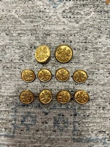 Waterbury vintage London lion dragon domini nos drige replacement button set 10 - Imagen 1 de 3