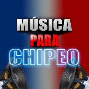Musica Para Chipeo | Chuchero Usb | Usb Con Musicas Para Musicologo | 16gb - Picture 1 of 2
