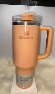Splendido bicchiere Stanley ESAURITO 40 oz Quencher Bellini Shimmer festa della mamma NUOVO - Foto 1 di 6
