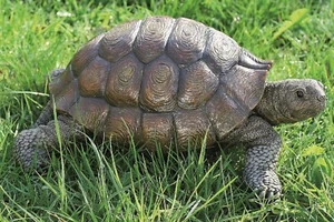 Schildkröte Deko Kunstharz Tier Teich Landschildkröte - Bild 1 von 1