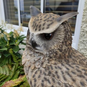 Vivid Arts - Life Size Eagle Owl - Picture 1 of 12