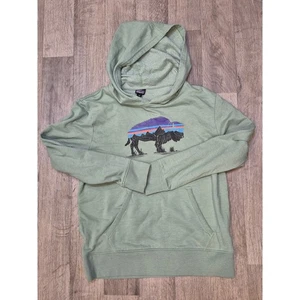 Patagonia Kids XL Hoodie Pullover Green Buffalo Graphic Sweatshirt 125 - Picture 1 of 5