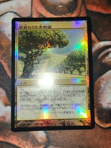 FOIL Japanese Exotic Orchard Conflux MTG Magic the Gathering JP 1st Edition - Picture 1 of 2