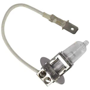 Lampadina Fanale Alogeno 12V55W Proiettore Ciclomotore - Picture 1 of 1