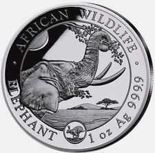 NEU 1 Unze Silber Somalia Elefant Privy Hase 2023 BU - Serie African Wildlife