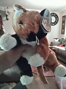 Ty Beanie Buddy Chip Cat 13" Long Very Soft MWMT Brown Black White w/ Brown Eyes - Picture 1 of 1