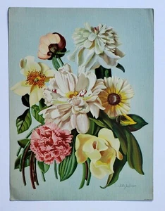 E. WITZLEBEN VINTAGE FLORAL/BOTANICAL LITHOGRAPH - Picture 1 of 5