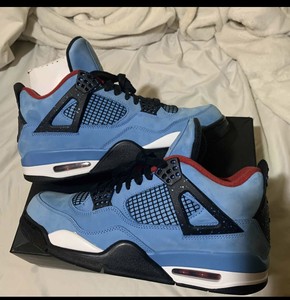 jordan 4 cactus