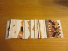 2002 Bench Warmer Update Set of 50 Trading Cards Mary Riley, Carrie Stroup +++