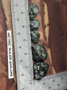 Precab Isle Royale Greenstone Chlorastrolite Cab Cabochon Rough Raw Flat Back x5 - Imagen 1 de 7